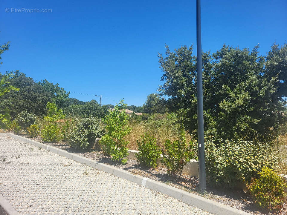 Terrain à MONTIGNARGUES