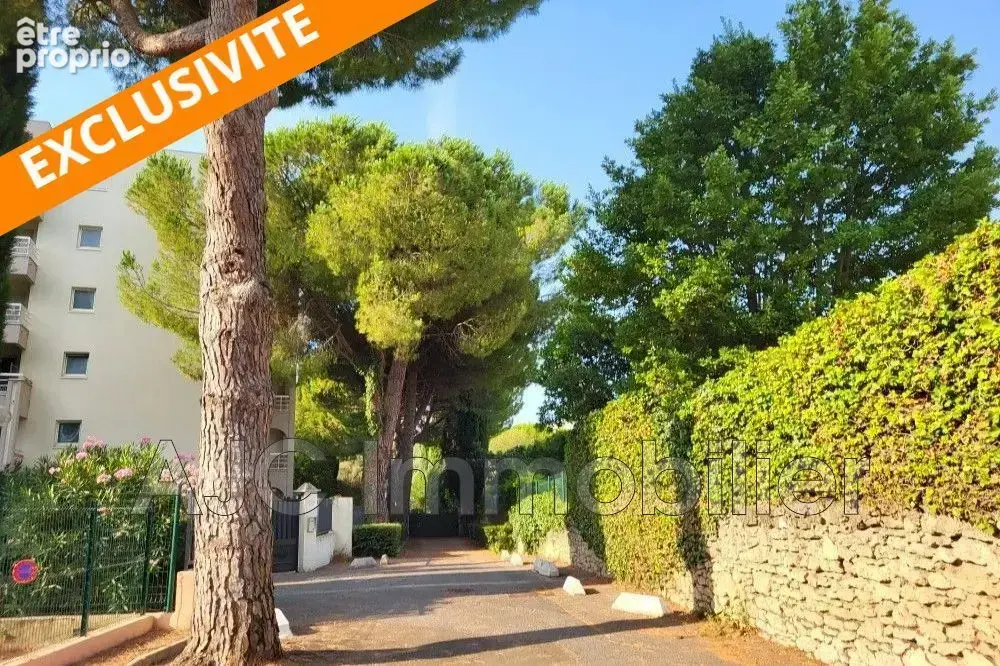 Photo Appartement à Montpellier au prix de 420 000€