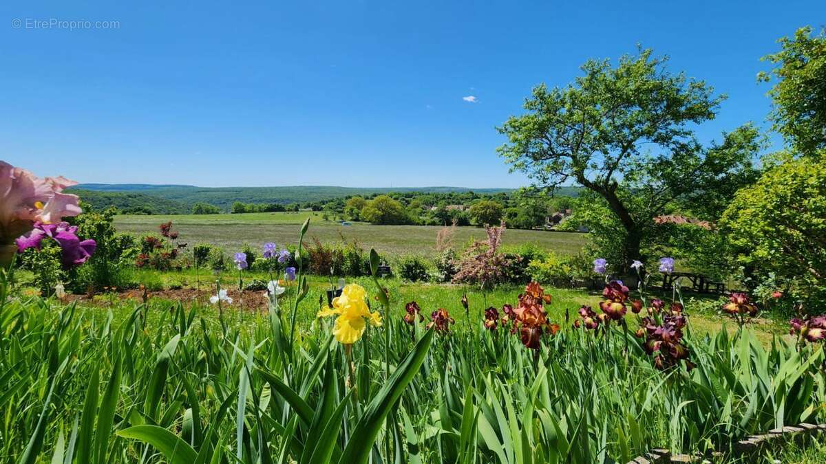 Maison à SAINT-JEAN-DE-BOEUF