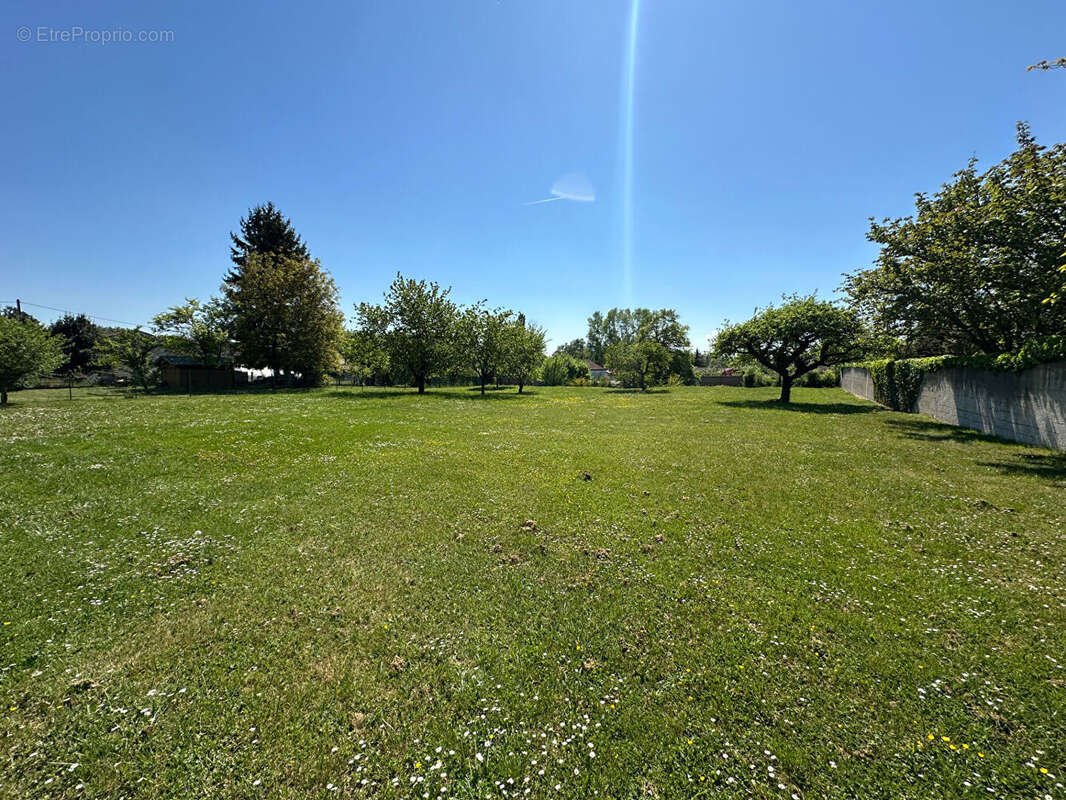 Terrain à LA CHAUSSEE-SUR-MARNE