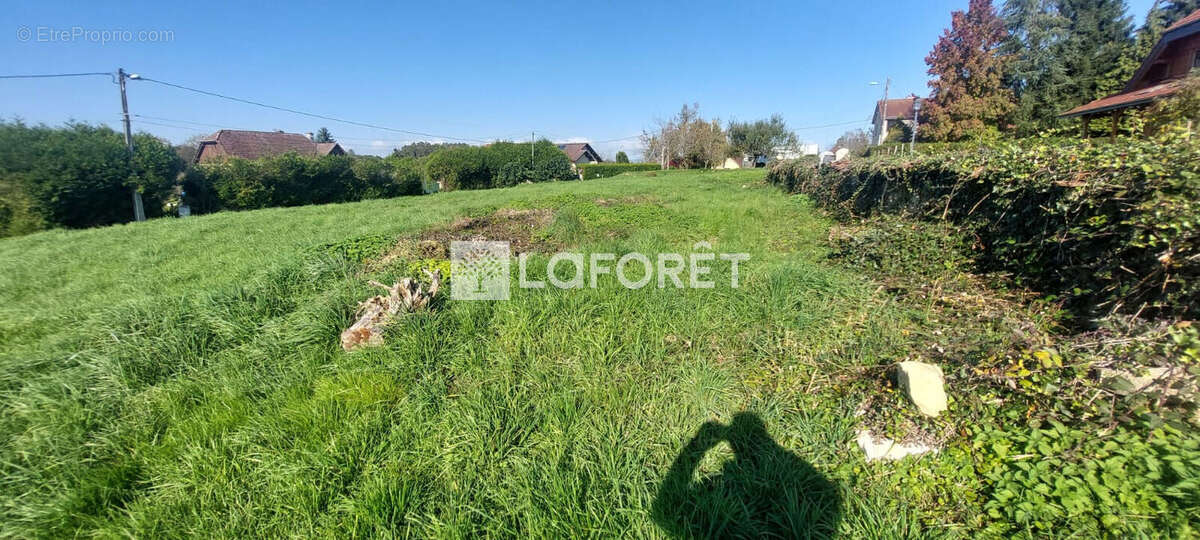 Terrain à CHAVANATTE