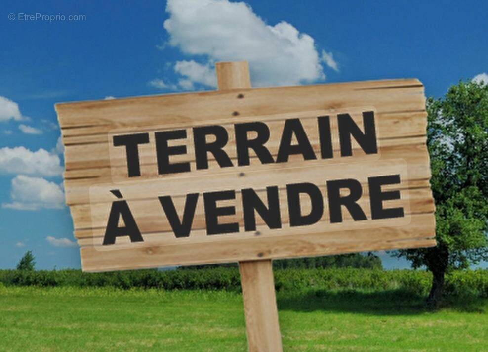 Terrain à NOUAILLE-MAUPERTUIS