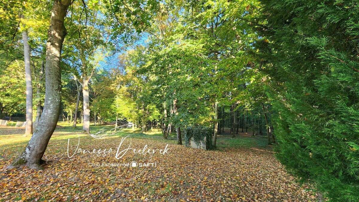 Photo 3 - Terrain à SERMAISE