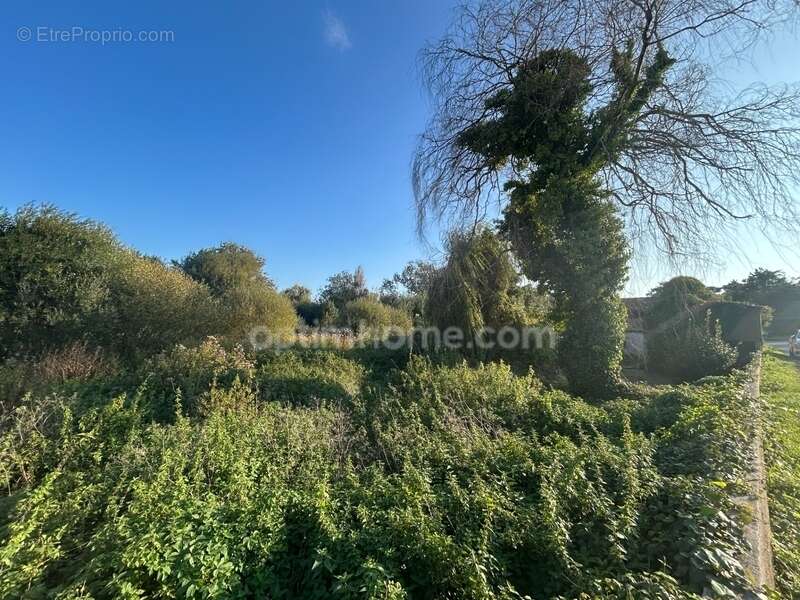 Terrain à SAINT-GEORGES-D&#039;OLERON