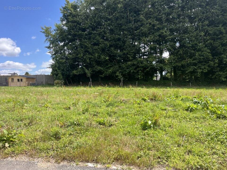 Terrain à VALLIQUERVILLE