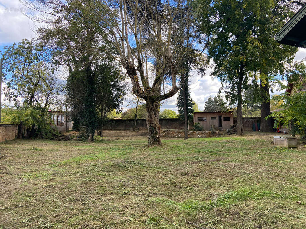 Terrain à CURIS-AU-MONT-D'OR