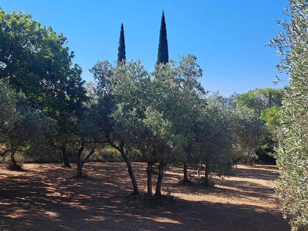 Photo 2 - Terrain à GORDES