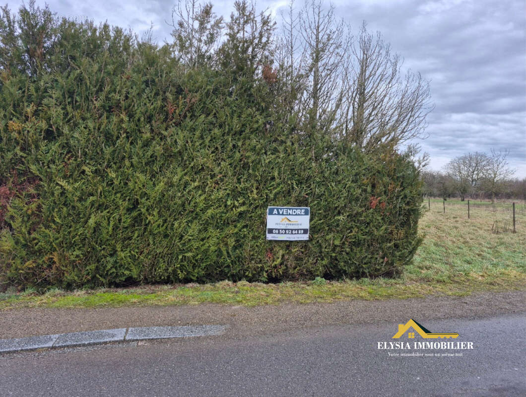 Terrain à VALLEROY