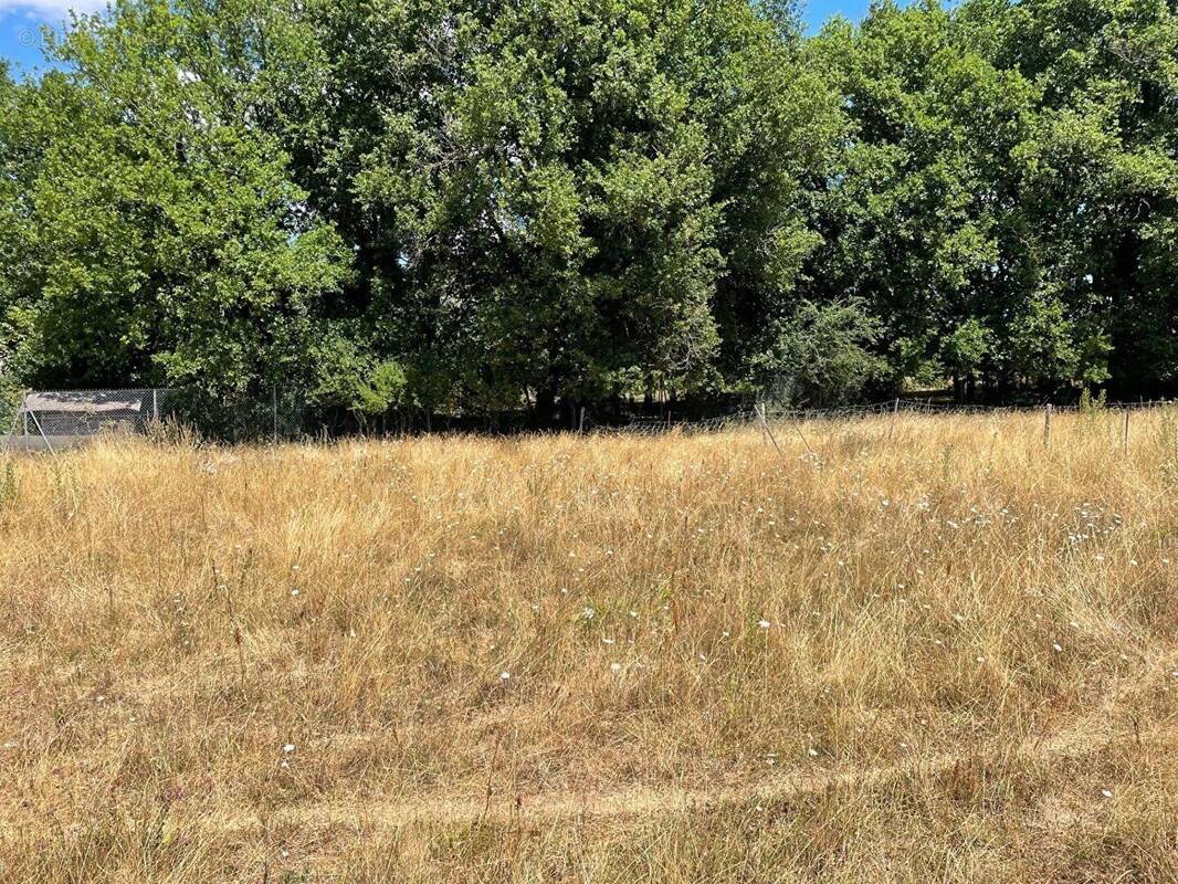 Terrain à LINIERS