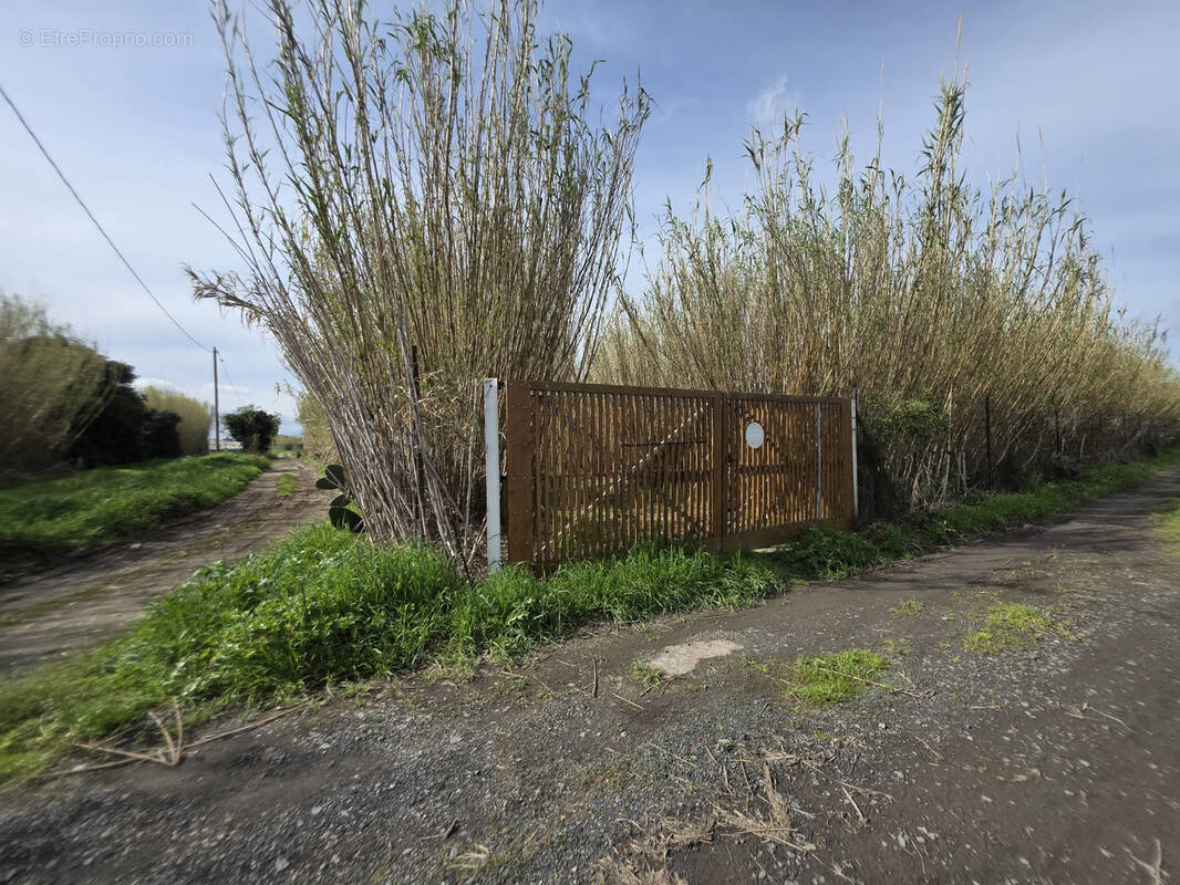 Terrain à VILLELONGUE-DE-LA-SALANQUE