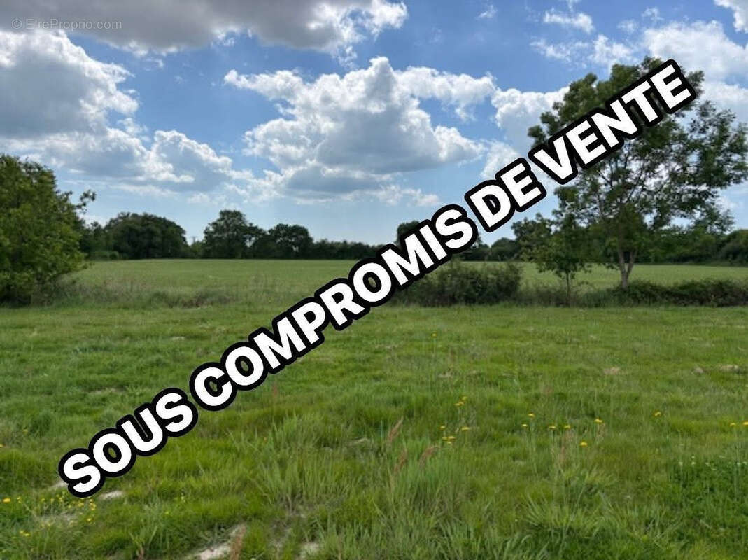 Terrain à TALMONT-SAINT-HILAIRE