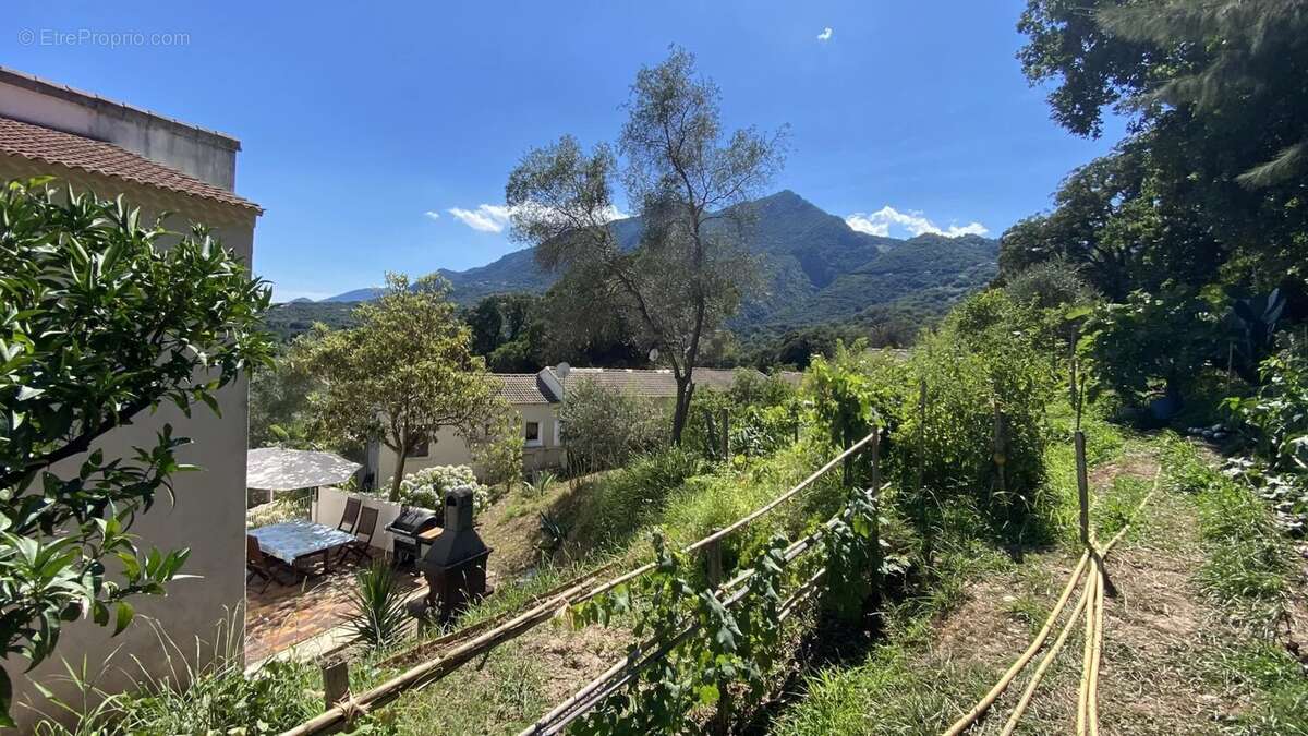 Appartement à SAN-NICOLAO