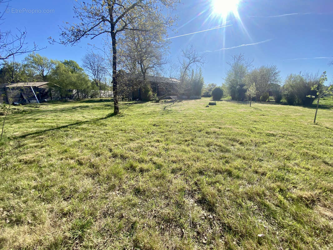 Maison à LE TEMPLE