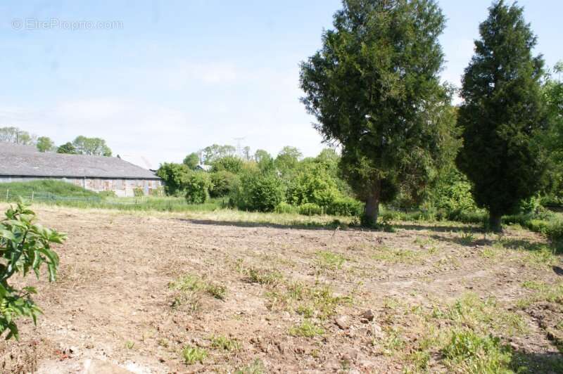 Terrain a batir - 1594m² - photo 4