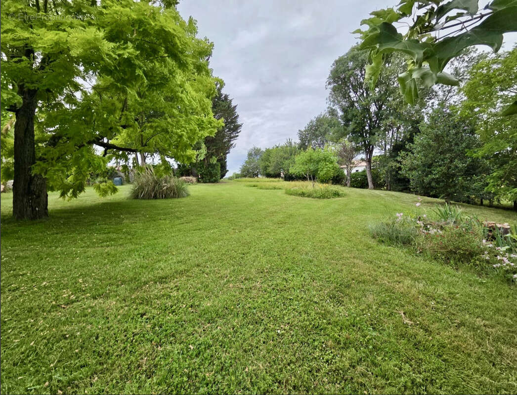 Authentique longère en pierre de 123 m2 avec parc arboré et studio indépendant - photo 25