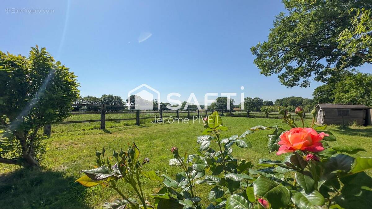 Photo 1 - Maison à SAINT-DOLAY