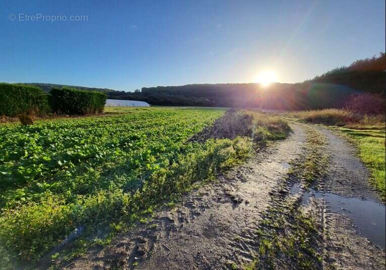 Maison à LILLEBONNE