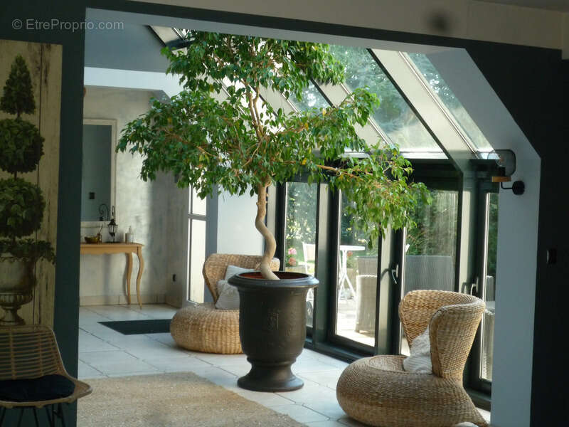 ARCY SAINTE RESTITUE (02) belle maison d'architecte de 291 m2 sur un terrain de 7000 m2 - photo 7