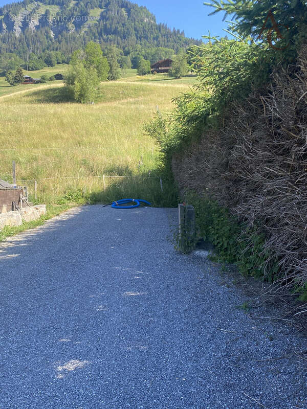Terrain à PRAZ-SUR-ARLY