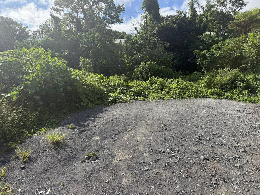 Terrain à LE TAMPON