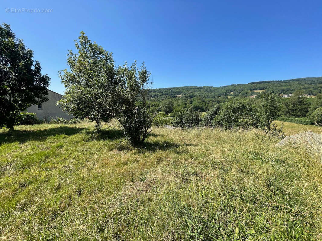 Maison à SAUVETERRE