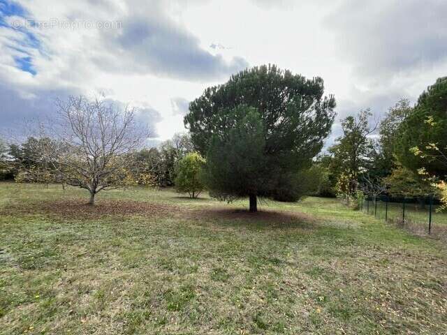 Terrain à GRATENTOUR