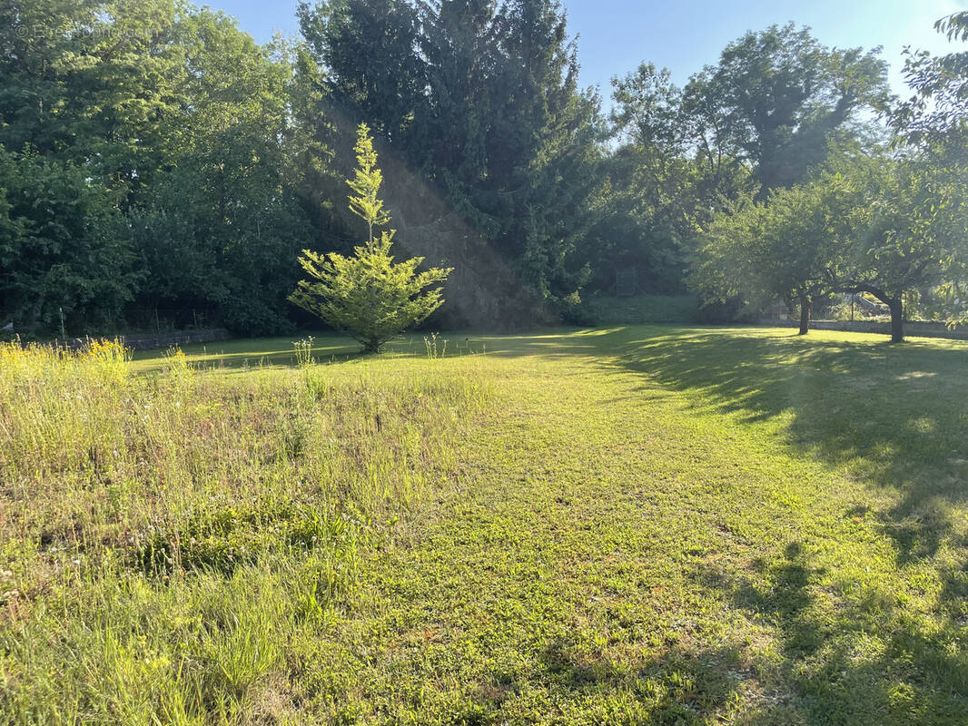 Terrain à AVOLSHEIM