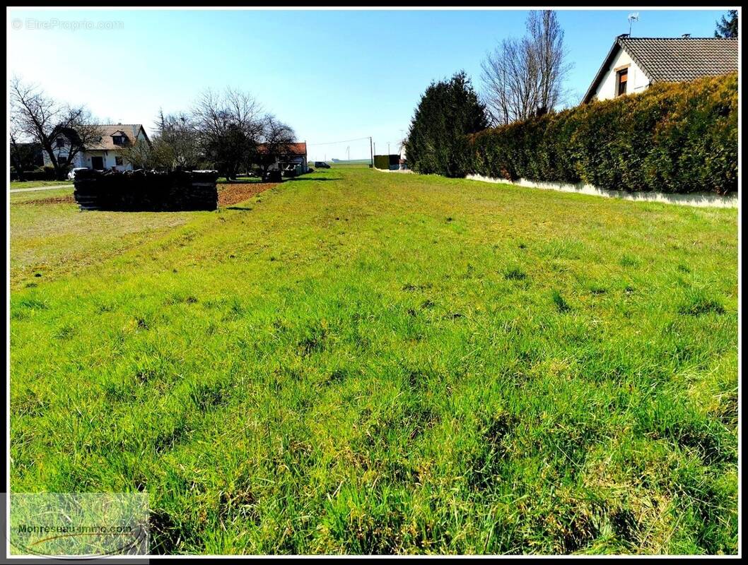 Terrain à PRINGY
