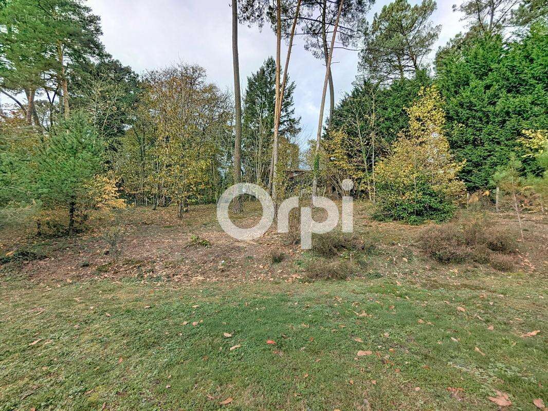 Terrain à CHANCELADE