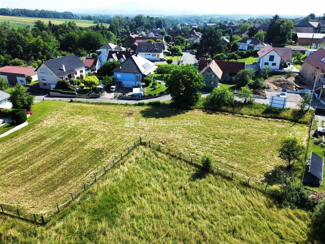 Terrain à HELFRANTZKIRCH