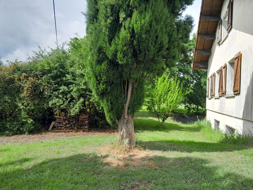 Maison à MOISSAC