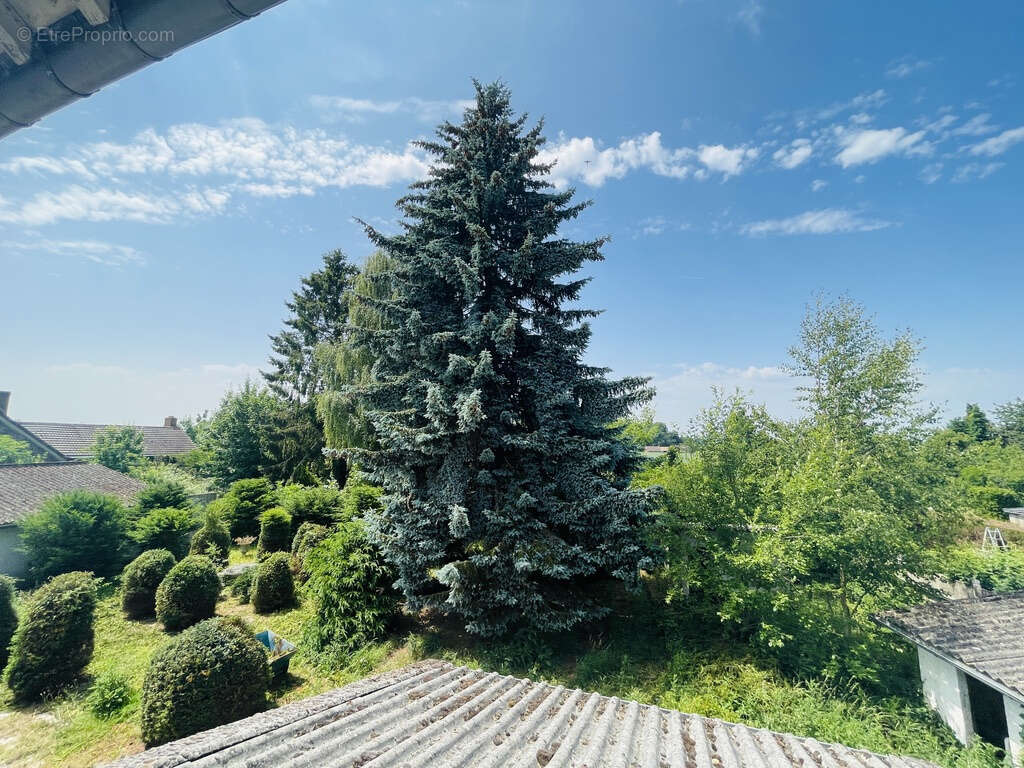 Propriete avec annexe a finir de renover - photo 6