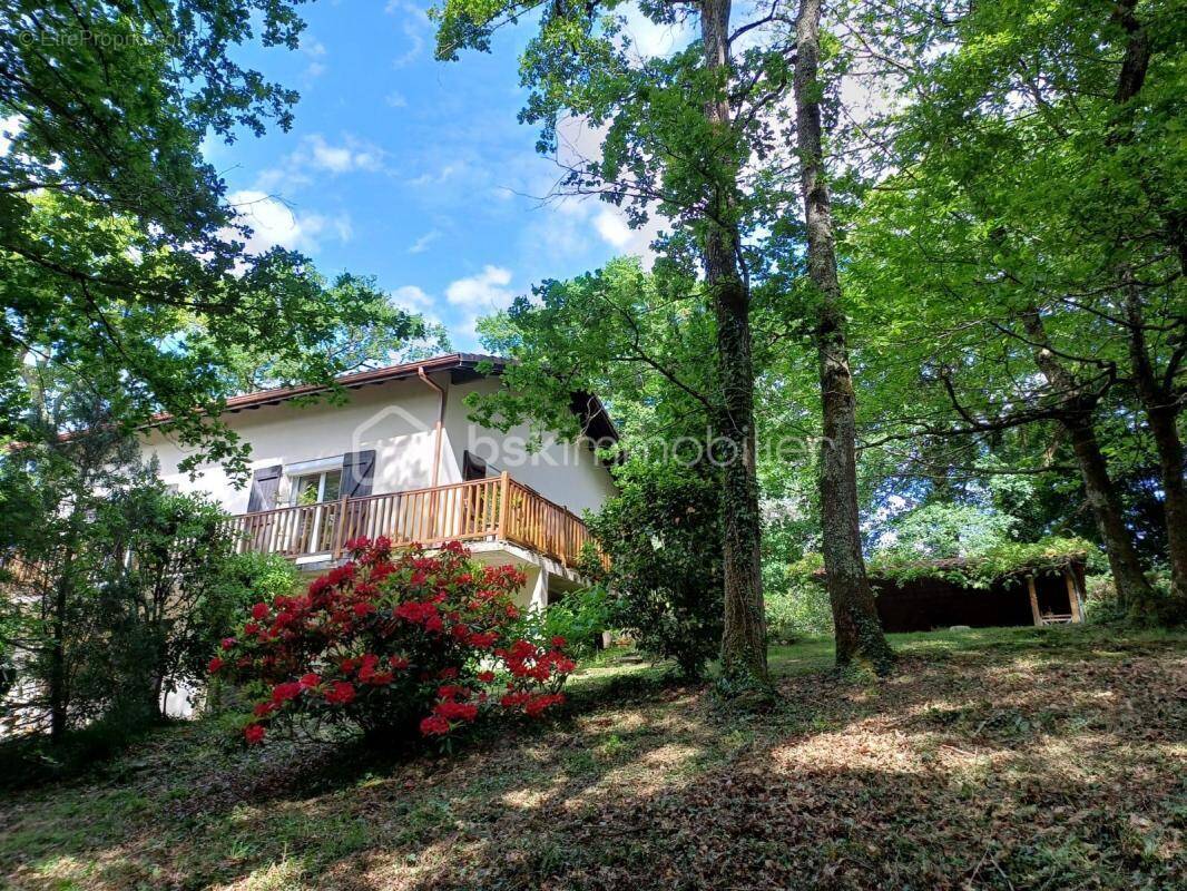 Maison à AIRE-SUR-L&#039;ADOUR