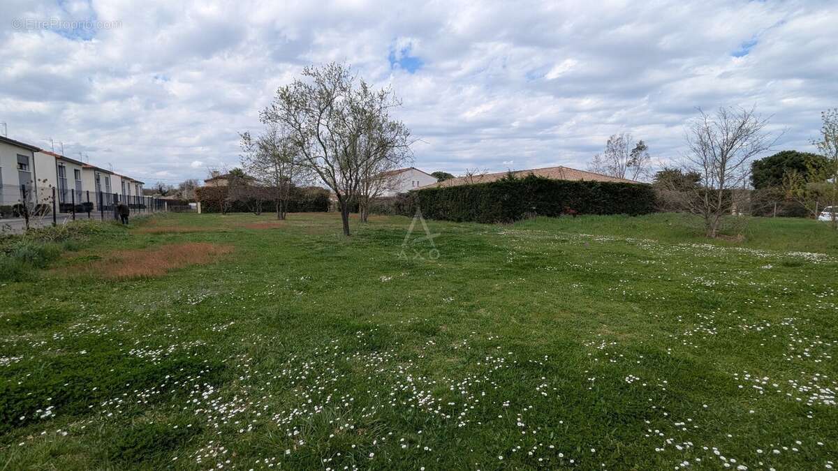 Terrain constructible viabilisé  650 m²  Cugnaux - photo 8