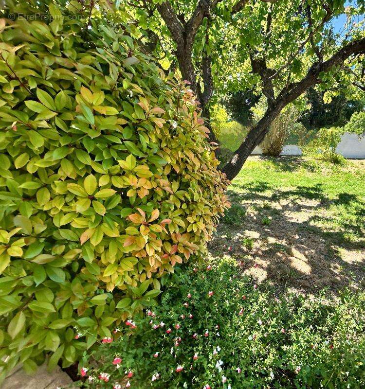 Maison à PERNES-LES-FONTAINES