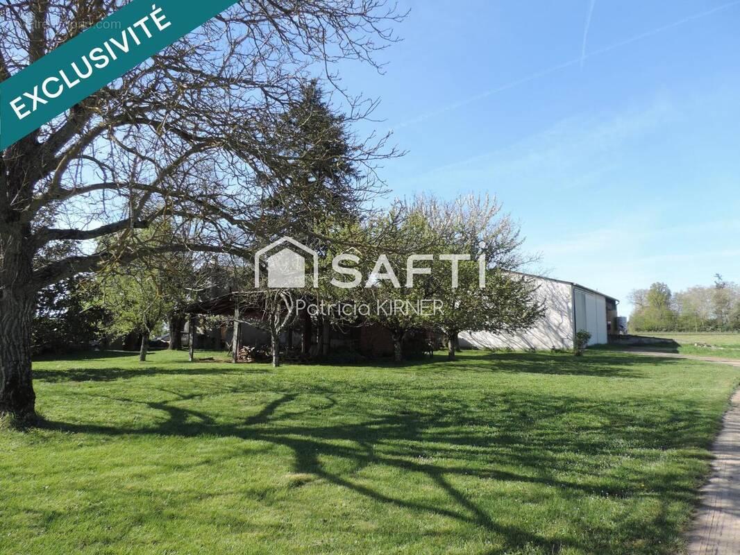 Photo 1 - Maison à LISLE-SUR-TARN