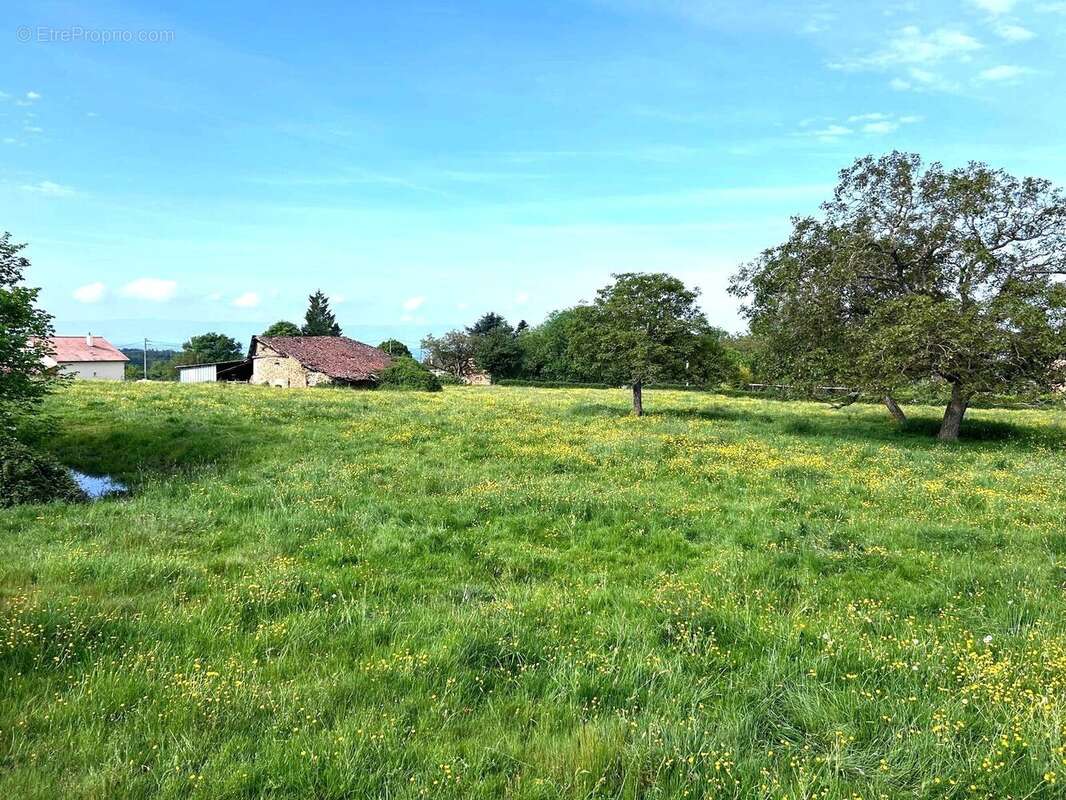 Maison à FLEURY-LA-MONTAGNE