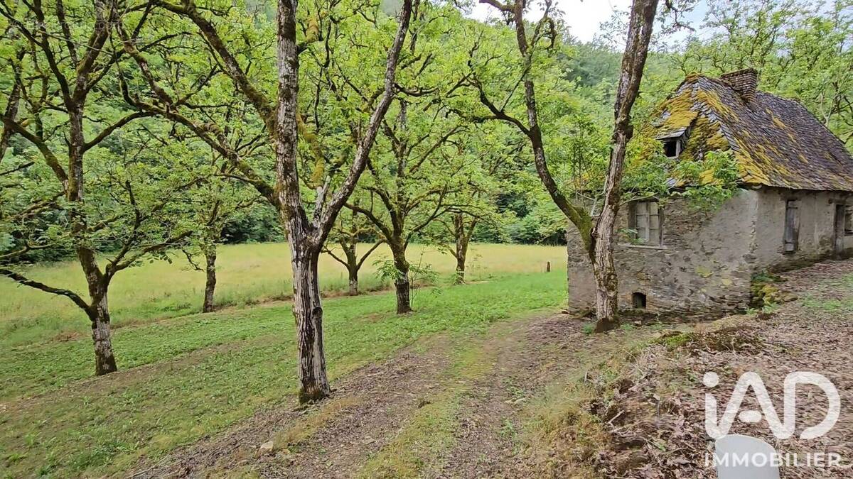 Photo 1 - Maison à ALTILLAC