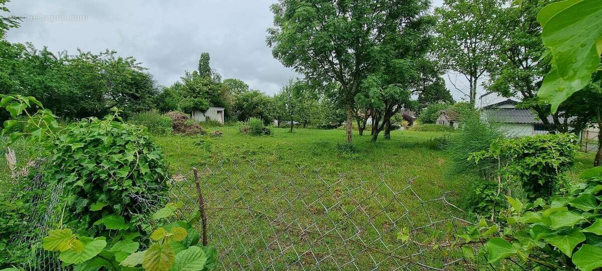 terrain à bâtir 1287m² - photo 3