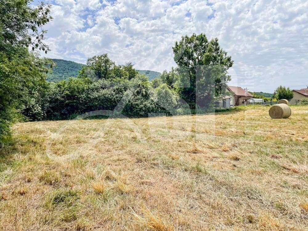 Terrain viabilisé (Lot 11) - Terrain à BEAUCROISSANT