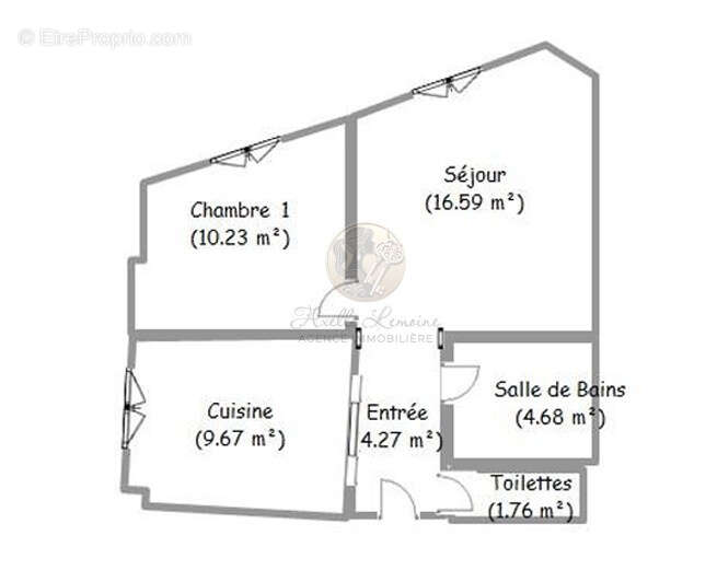 Appartement à OULLINS