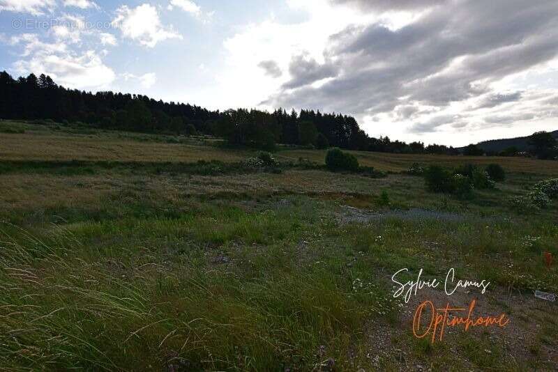 Terrain viabilisé à vendre de 911,00 m² DUNIERES (43), vue dégagée, belle situation - photo 6
