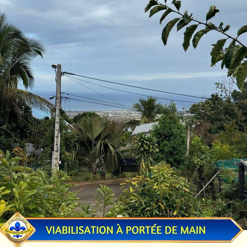 Terrain à SAINT-PAUL