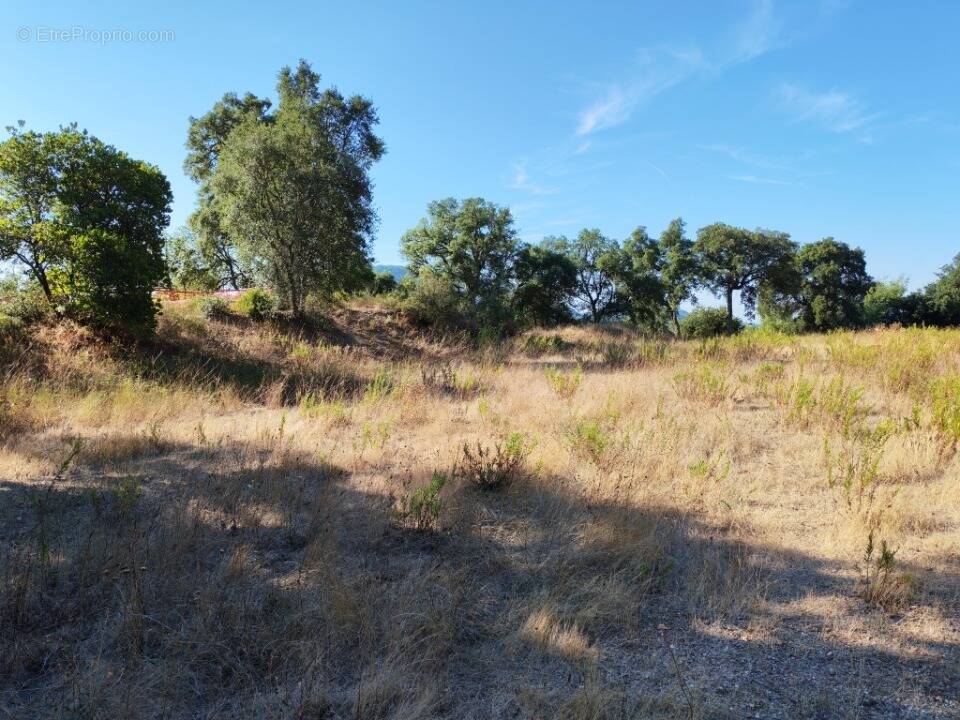 Terrain à LES ADRETS-DE-L&#039;ESTEREL
