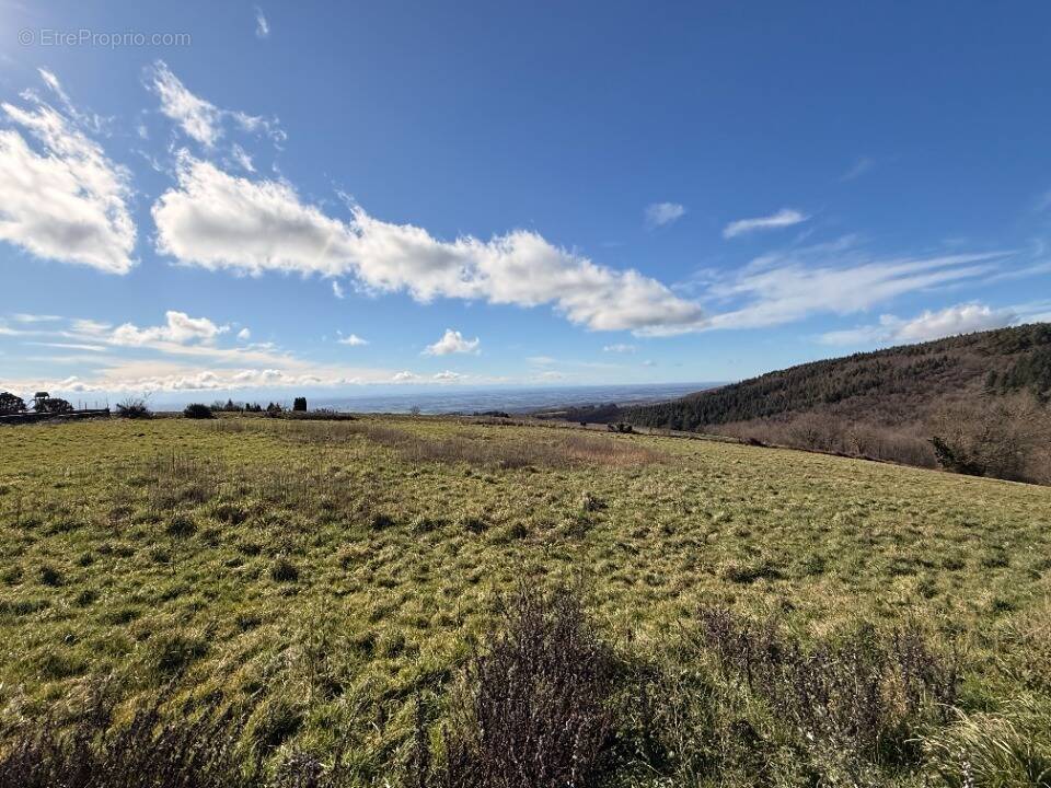 Terrain à LES BRUNELS