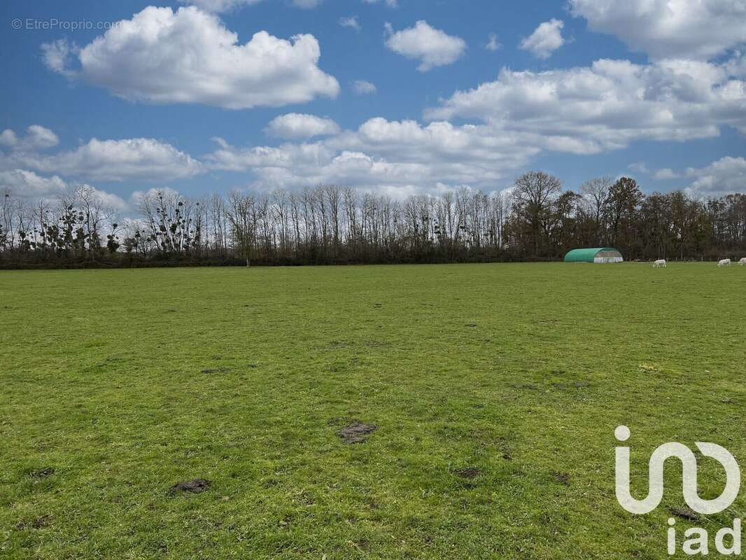 Photo 3 - Terrain à CHASSENARD