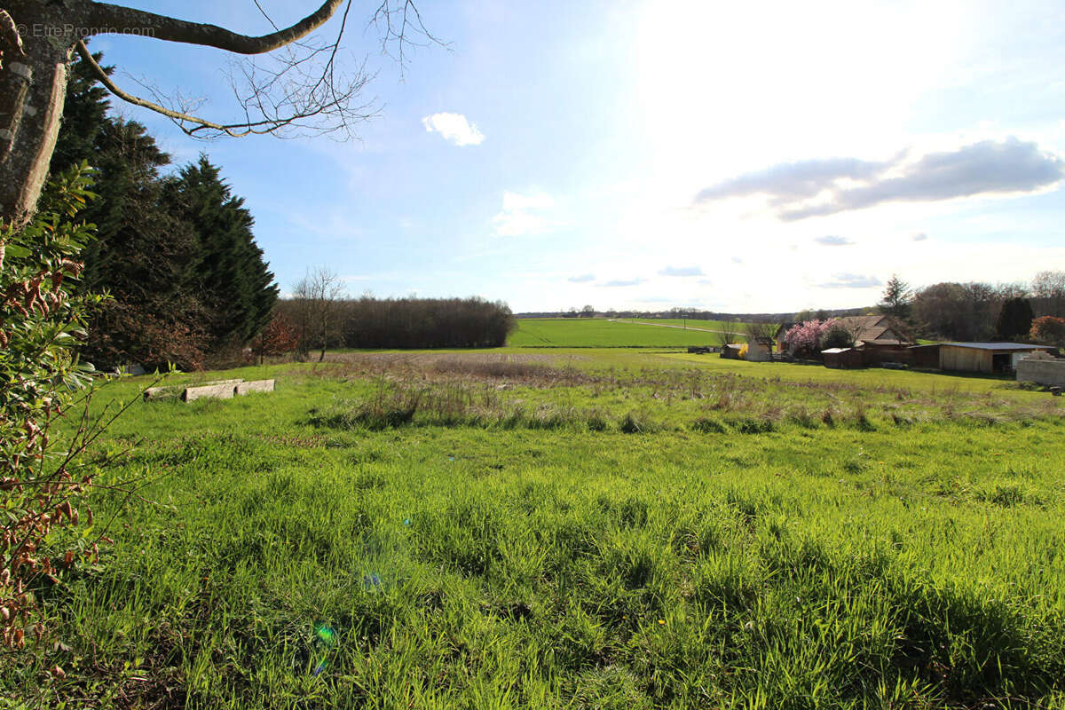 Terrain à MAGNY-MONTARLOT