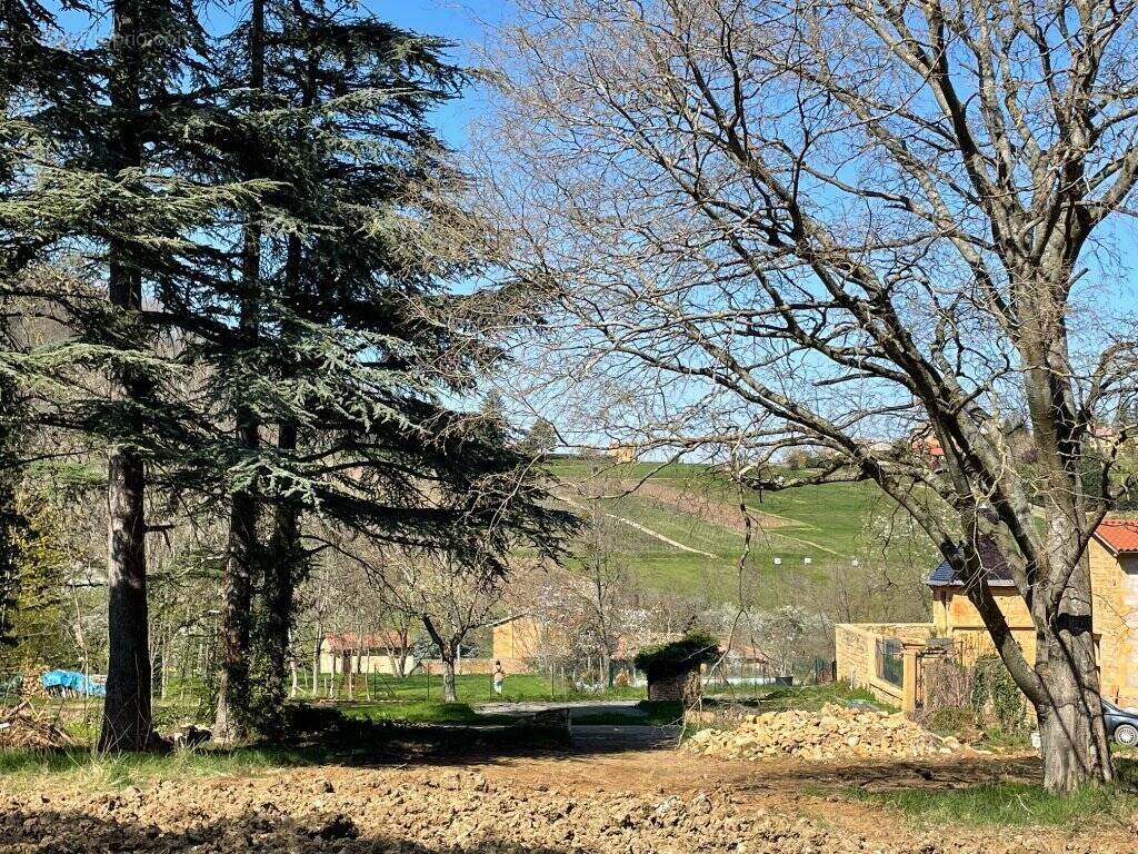 Terrain à VILLE-SUR-JARNIOUX