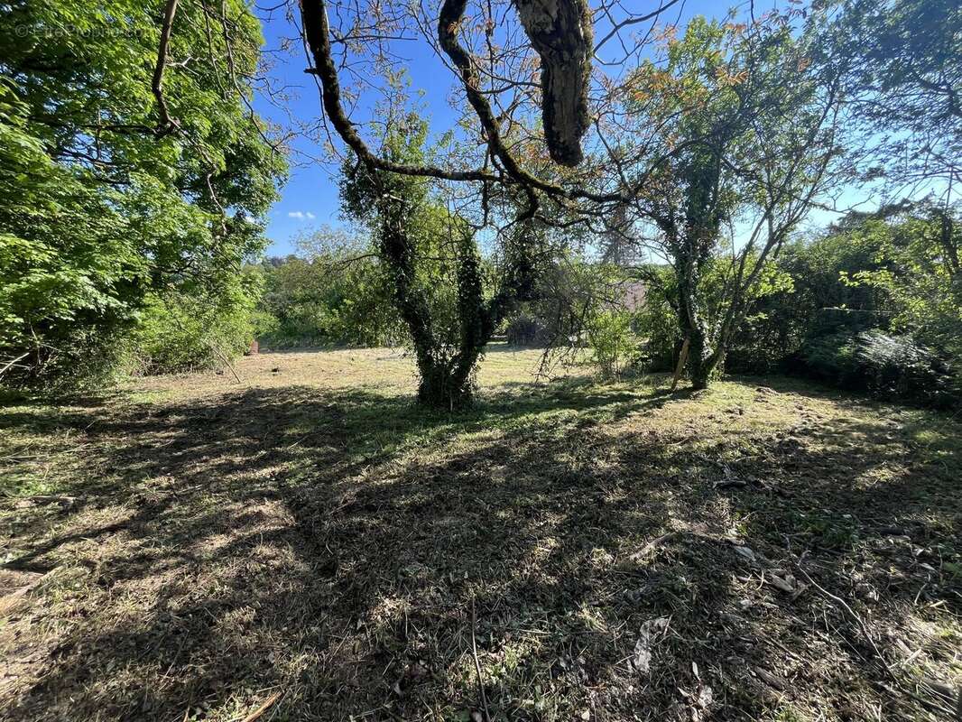 Terrain à SAINT-BENIN-D&#039;AZY