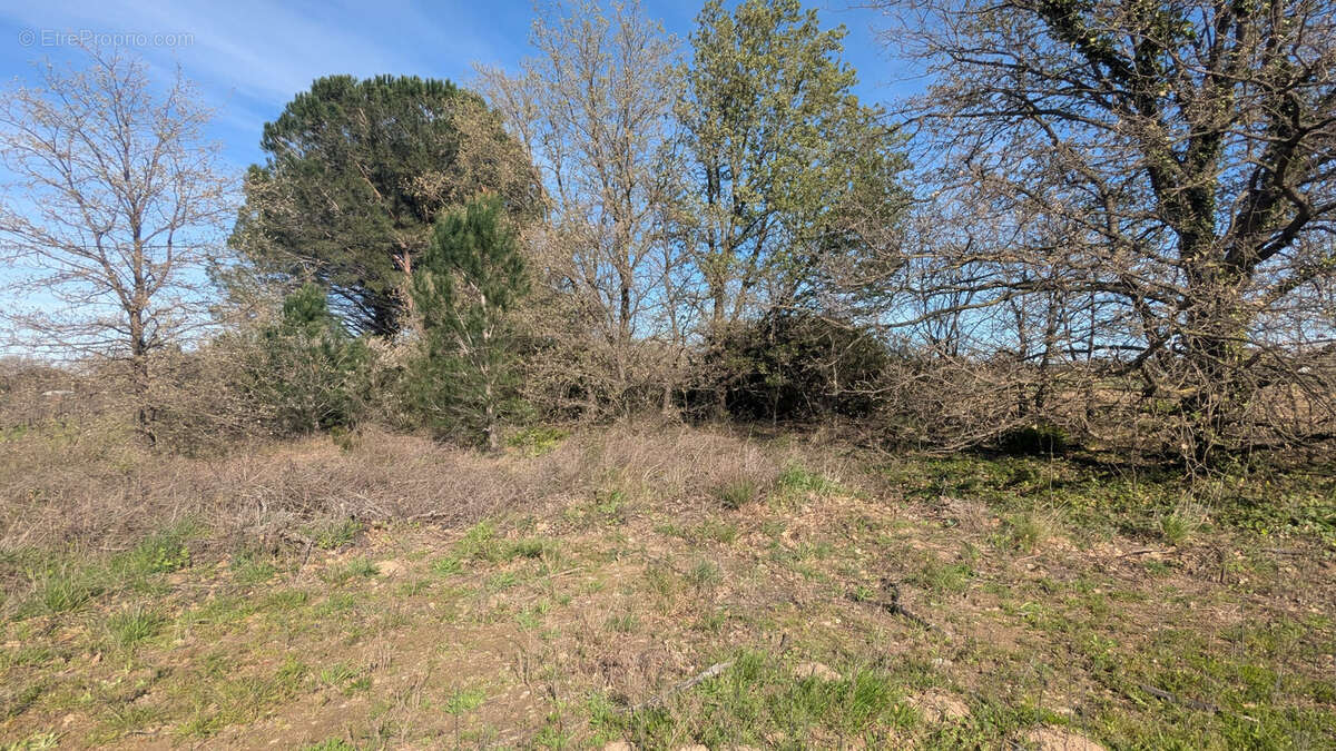 Terrain à PALAU-DEL-VIDRE